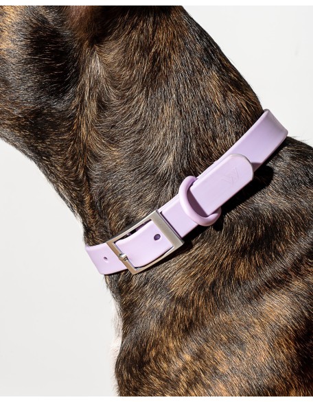 Dog Harness Walk All Collar