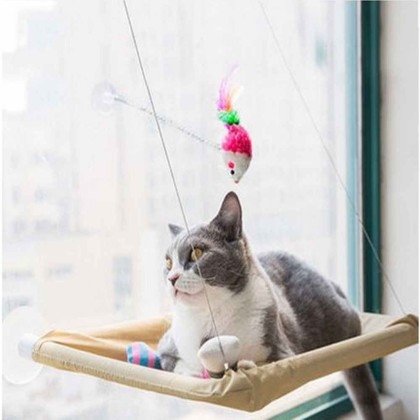 Cute Cat Window Hammock