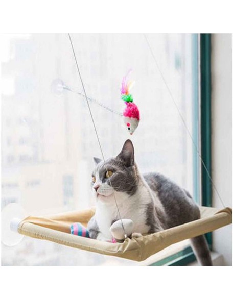 Cute Cat Window Hammock