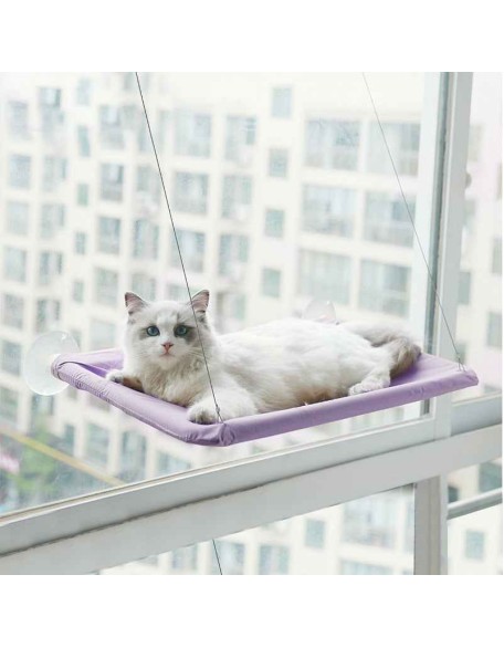 Cute Cat Window Hammock