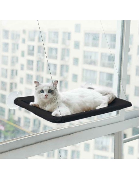 Cute Cat Window Hammock