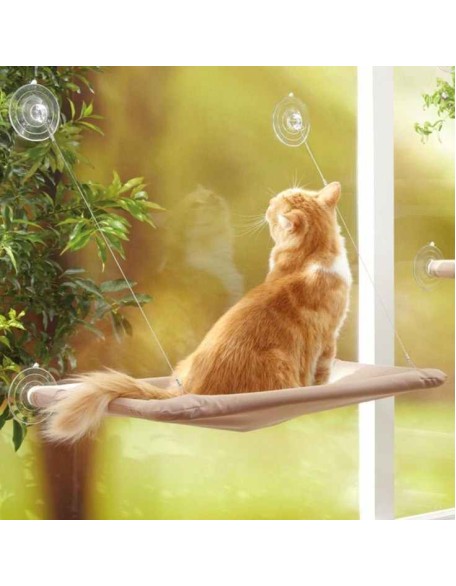 Cute Cat Window Hammock