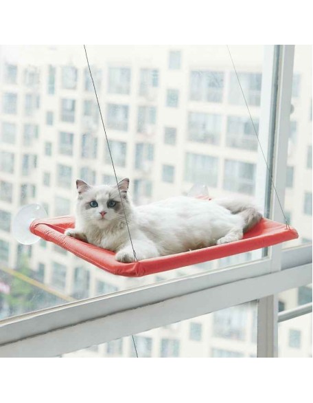 Cute Cat Window Hammock