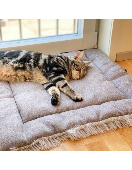 2-in-1 Soothing Cat Bed