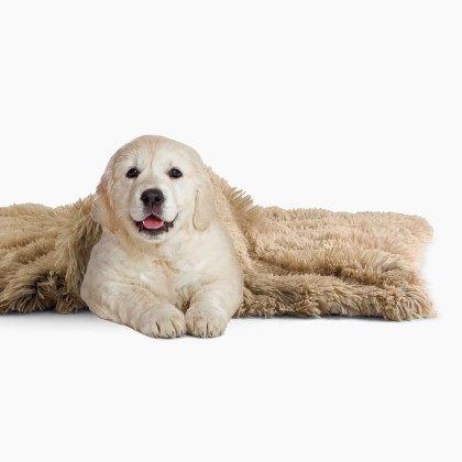 Matching Buddy Dog Blanket