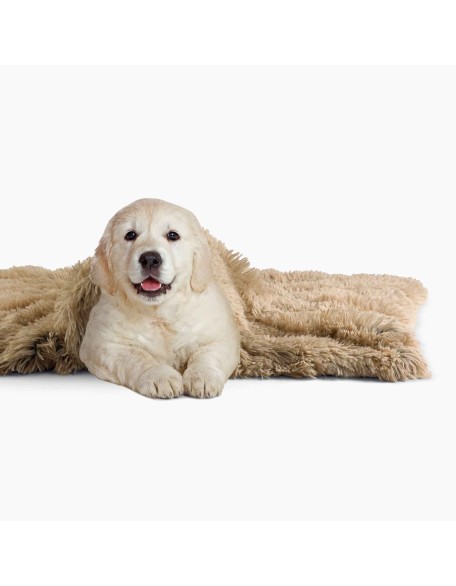 Matching Buddy Dog Blanket