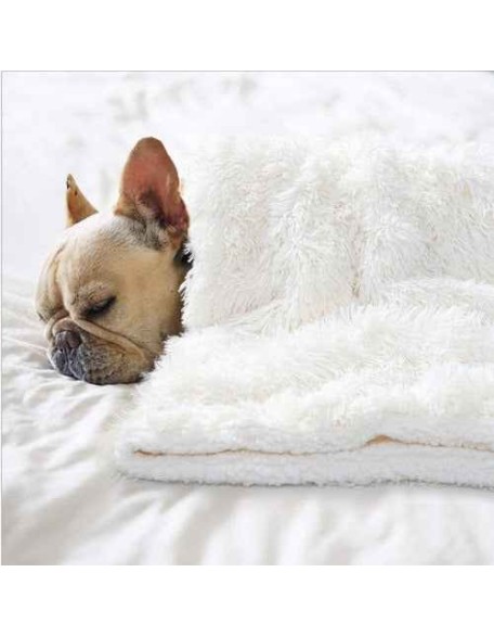 Matching Buddy Dog Blanket