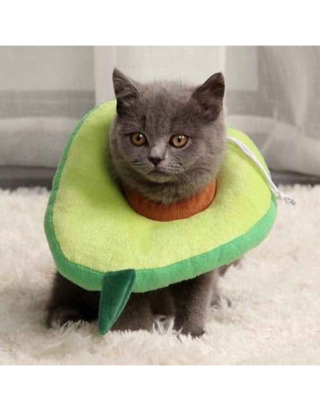 Cute Cat Cone Collar