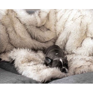 Luxury Throw Blanket for Dogs| Comfort Waterproof Dog Blanket