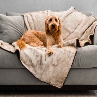 Cool Comfort Waterproof Dog Blanket - Couch Protector