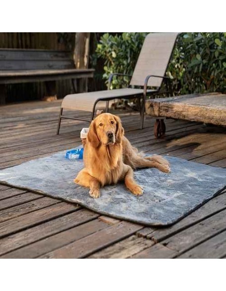 Cool Comfort Waterproof Dog Blanket - Couch Protector