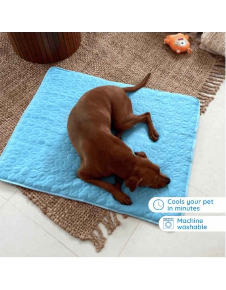 Ultimate Cooling Mat for Pets