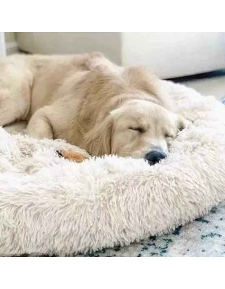 Calming Dog Bed - Anxiety Relieving Dog Bed, Anti-Anxiety Donut Pet Bed