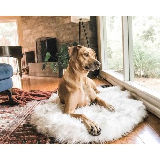 Faux Fur Orthopedic Dog Bed