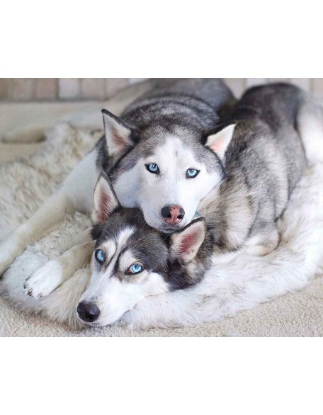 Faux Fur Orthopedic Dog Bed