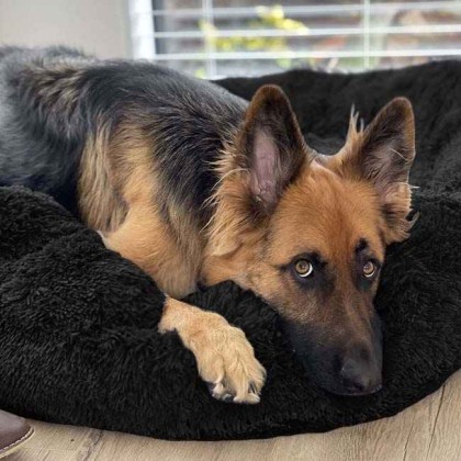 Original Calming Dog Bed - Donut Cuddler Dog Bed - Original Calming Pet Bed  (7 Sizes Available)