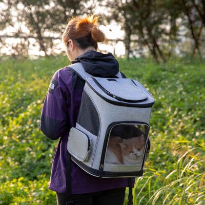 Portable Folding Travel Large Pet Carrier Backpack