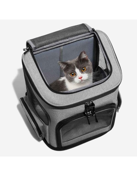 Portable Folding Travel Large Pet Carrier Backpack