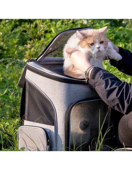 Portable Folding Travel Large Pet Carrier Backpack