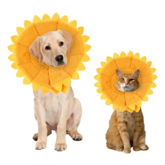 Sunflower Cats Dogs Cones