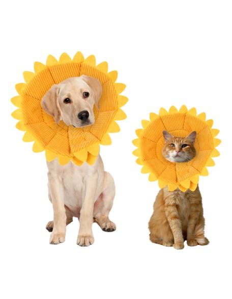 Sunflower Cats Dogs Cones