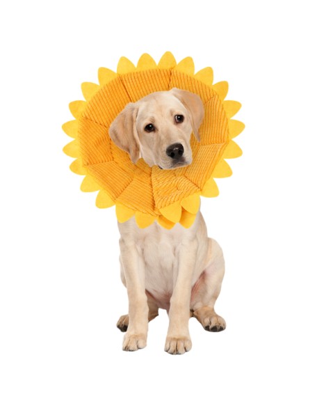 Sunflower Cats Dogs Cones