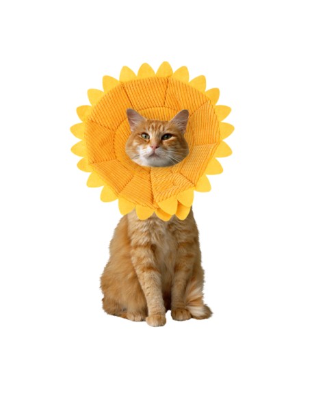 Sunflower Cats Dogs Cones