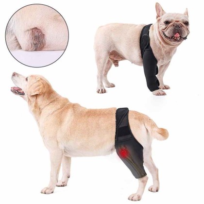 Neoprene Rear Dog Knee Brace for Torn ACL