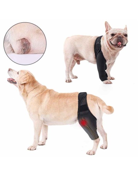 Neoprene Rear Dog Knee Brace for Torn ACL