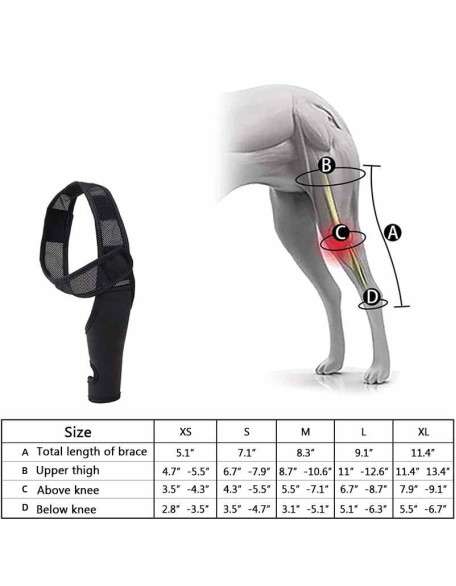 Neoprene Rear Dog Knee Brace for Torn ACL