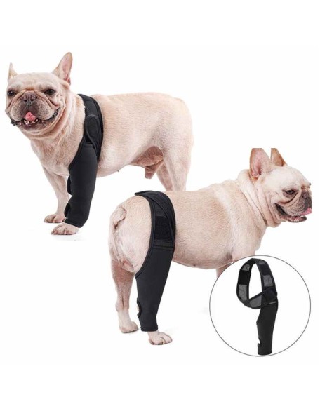 Neoprene Rear Dog Knee Brace for Torn ACL