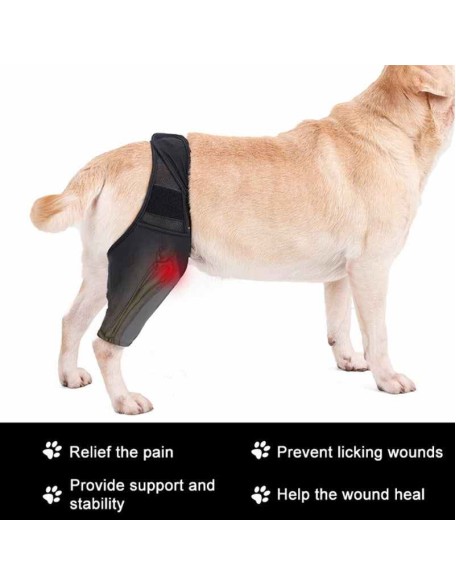 Neoprene Rear Dog Knee Brace for Torn ACL