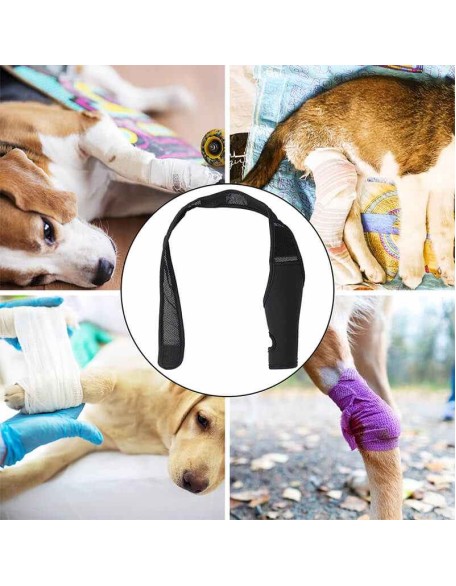 Neoprene Rear Dog Knee Brace for Torn ACL