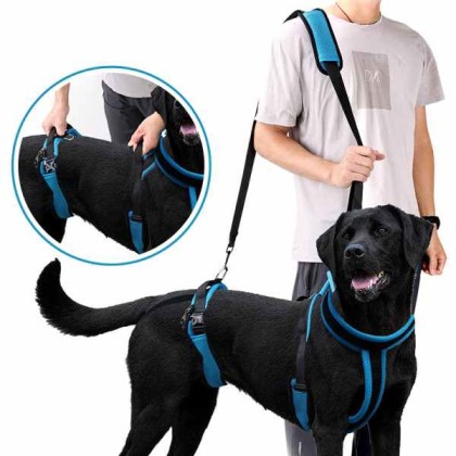 Full Body Dog Lifting Harness