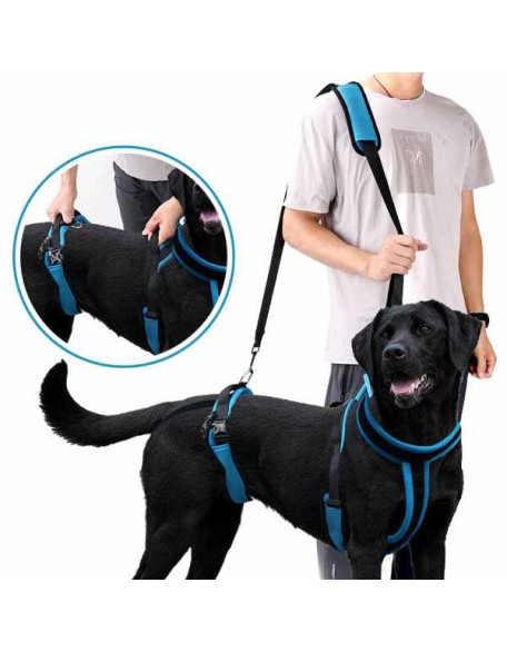 Full Body Dog Lifting Harness