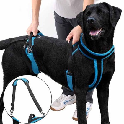 Full Body Dog Lifting Harness