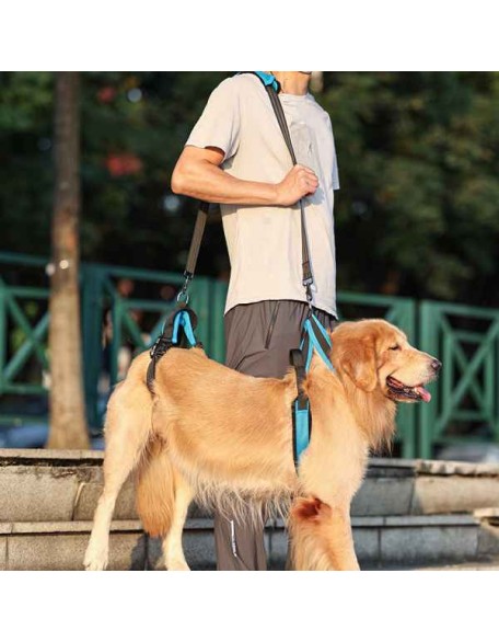 Full Body Dog Lifting Harness