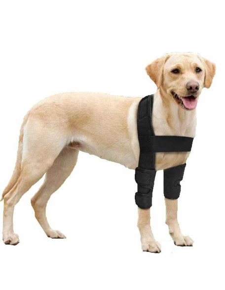 Double Knee Brace for Dogs