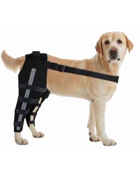 Double Knee Brace for Dogs