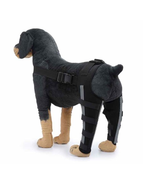 Double Knee Brace for Dogs