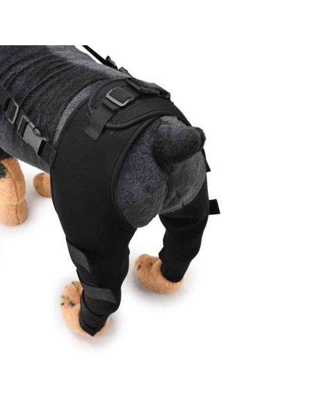 Double Knee Brace for Dogs