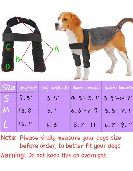 Double Knee Brace for Dogs