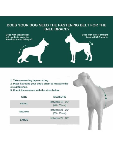 Dog Braces - Knee Brace for Dogs - Cruciate Support