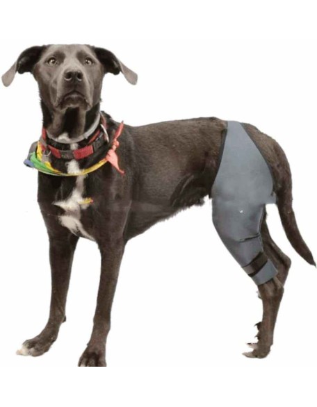 Dog Braces - Knee Brace for Dogs - Cruciate Support