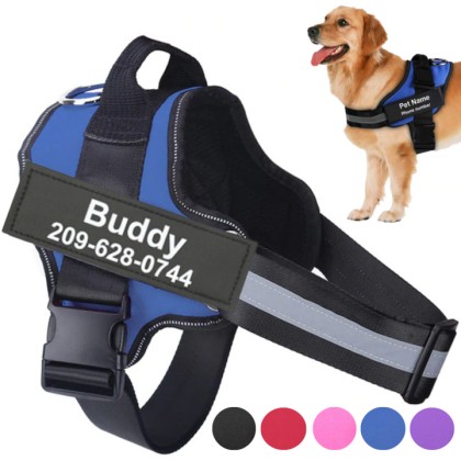 Best Custom Dog Harness No Pull Harnesses With Handle Personalized Name Tag