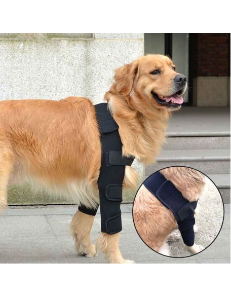 Dog Elbow Pads Protector for Hygroma, Adjustable Dog Shoulder Brace Front Leg Brace