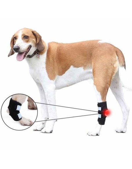 Rear Dog Leg Hock Brace With Reflective Straps