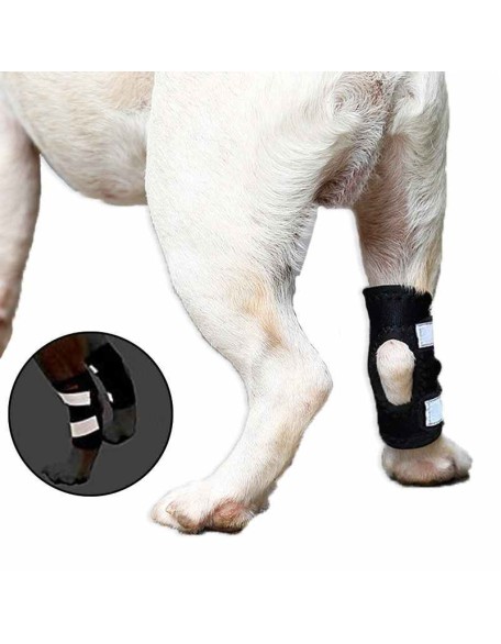 Rear Dog Leg Hock Brace With Reflective Straps