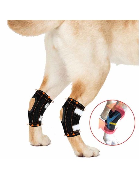 Rear Dog Leg Hock Brace With Reflective Straps