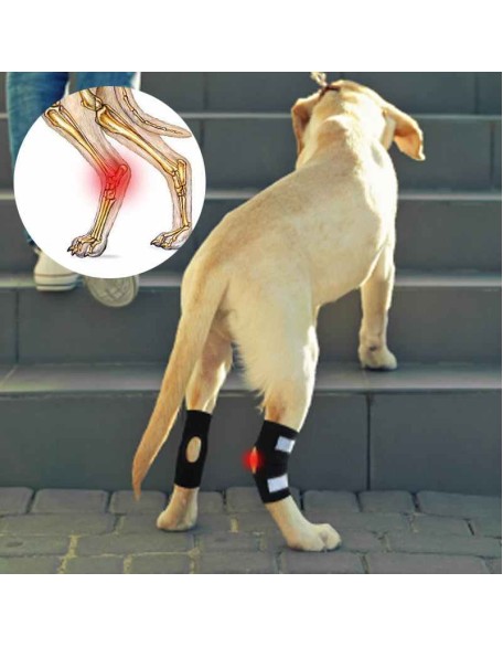 Rear Dog Leg Hock Brace With Reflective Straps